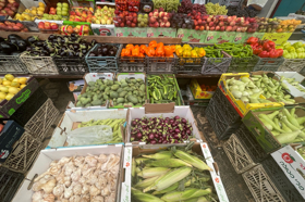 Group of people celebrating on stage