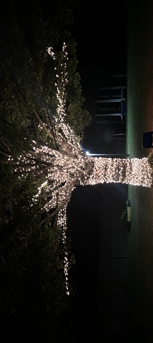 68a8d0906c5dba48d7a3da03_IMG_1828