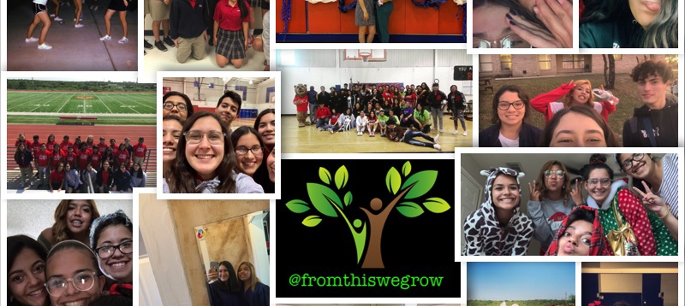 5e90d2a75f8678d9e3542d22_collage (1)