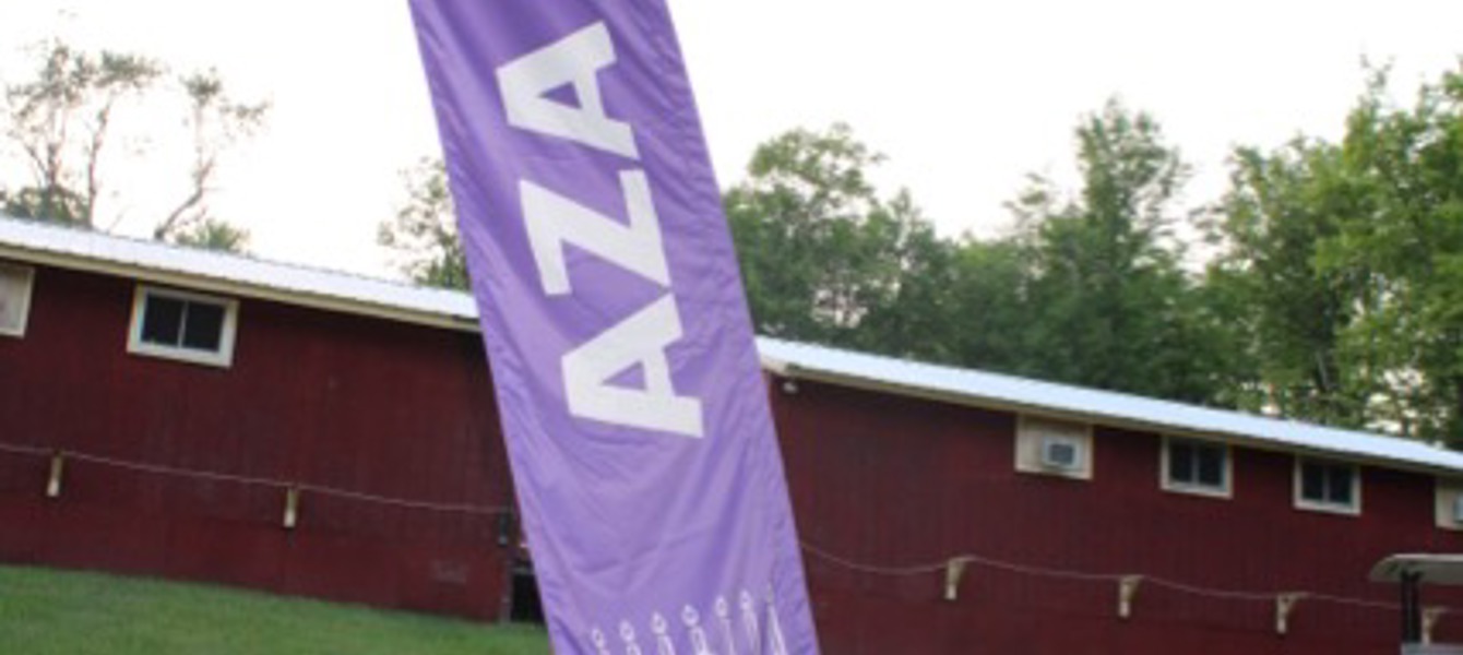 68700d11774a091ad8145a1a_IMG_6907 Mediano