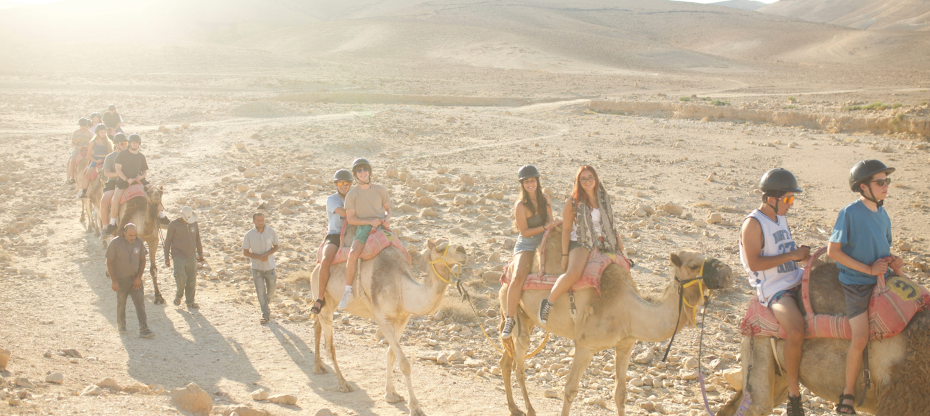 6793fcce4def60eb9ebfac54_Adobe Express - archivo