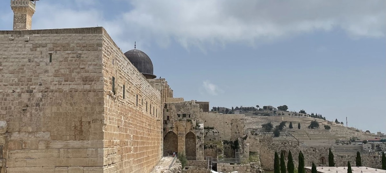 6526c1d620e2d9b29121d13c_sin título (4)