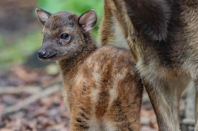 Group of people celebrating on stage