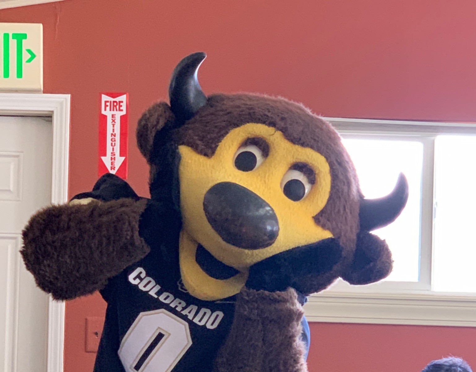 5c6a17ece0a955371cf243d4_IMG4551758417783927386~2