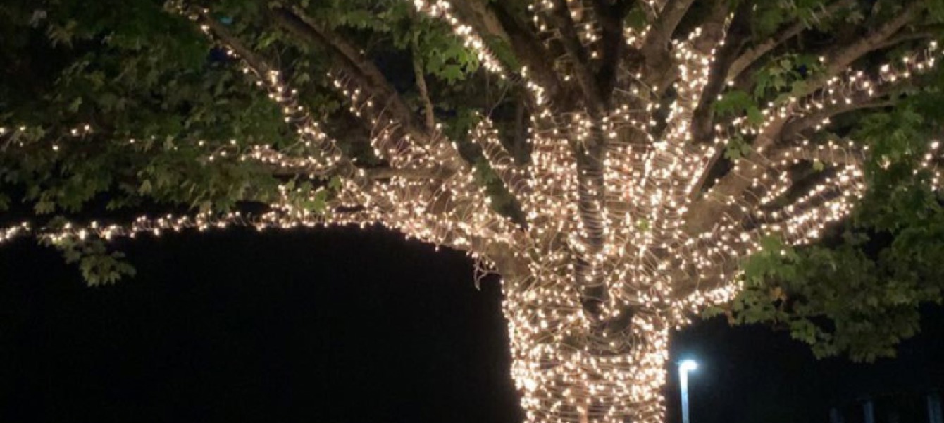 6733aa3751a3ffd9e54c1393_IMG-7141