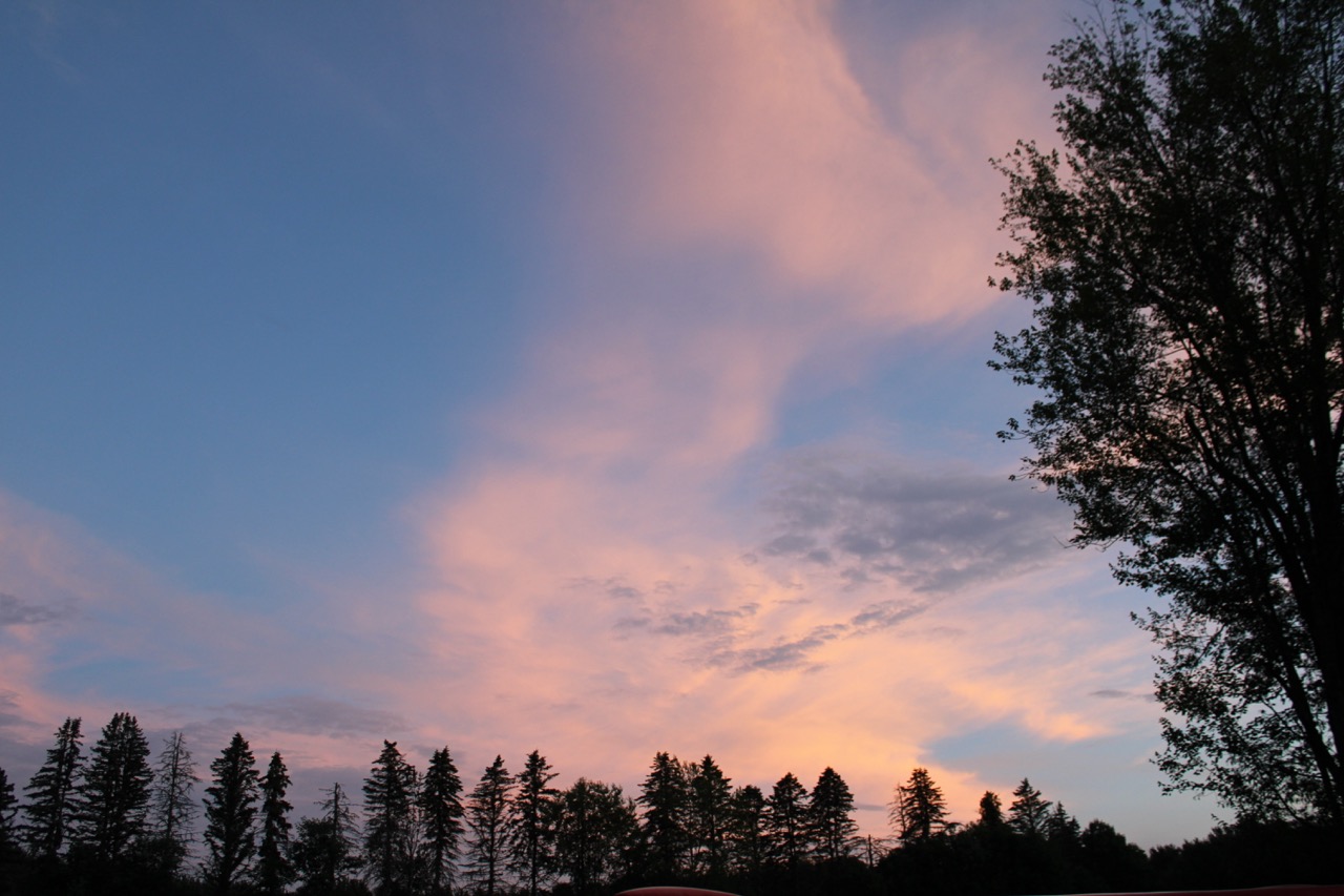 Group of people celebrating on stage