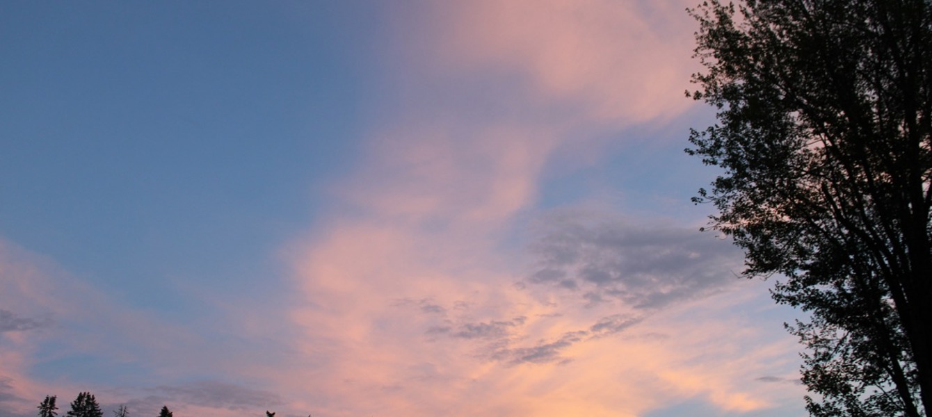 6862f574fa9ede676c508151_IMG_2432 Large