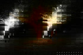 Group of people celebrating on stage