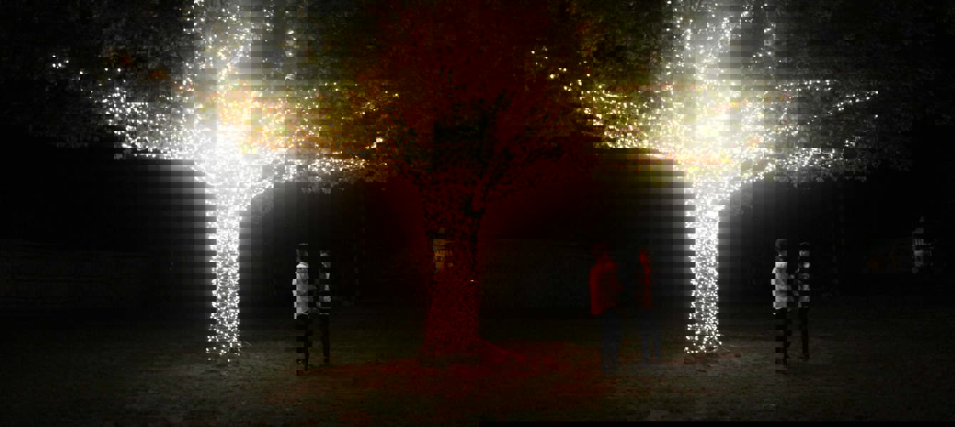 5bea4b8e3705ec0a5b7d07f1_2018-Región de la Gran Manzana (Taylor R) -ILTC 