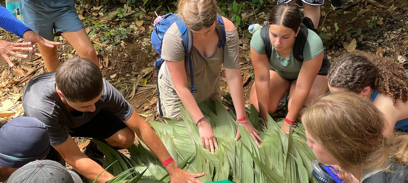 68c456d5876a8170bb706d2d_IMG_3792