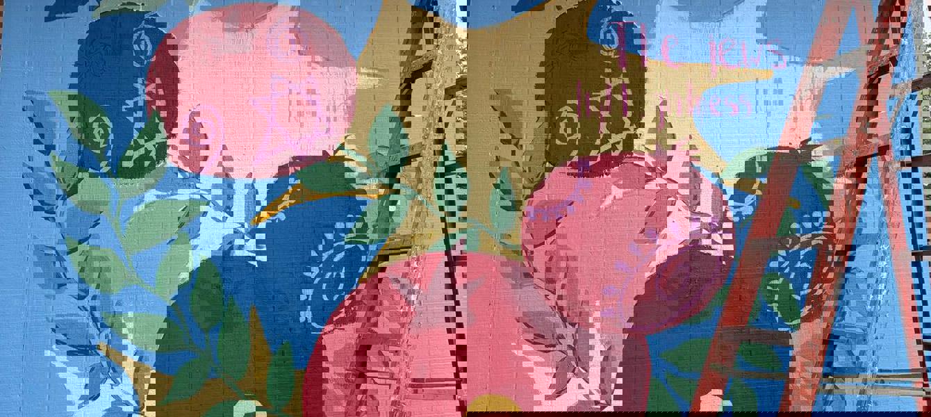 6895ec0e9369e99602a6f7c8_Imagen para la publicación[53]