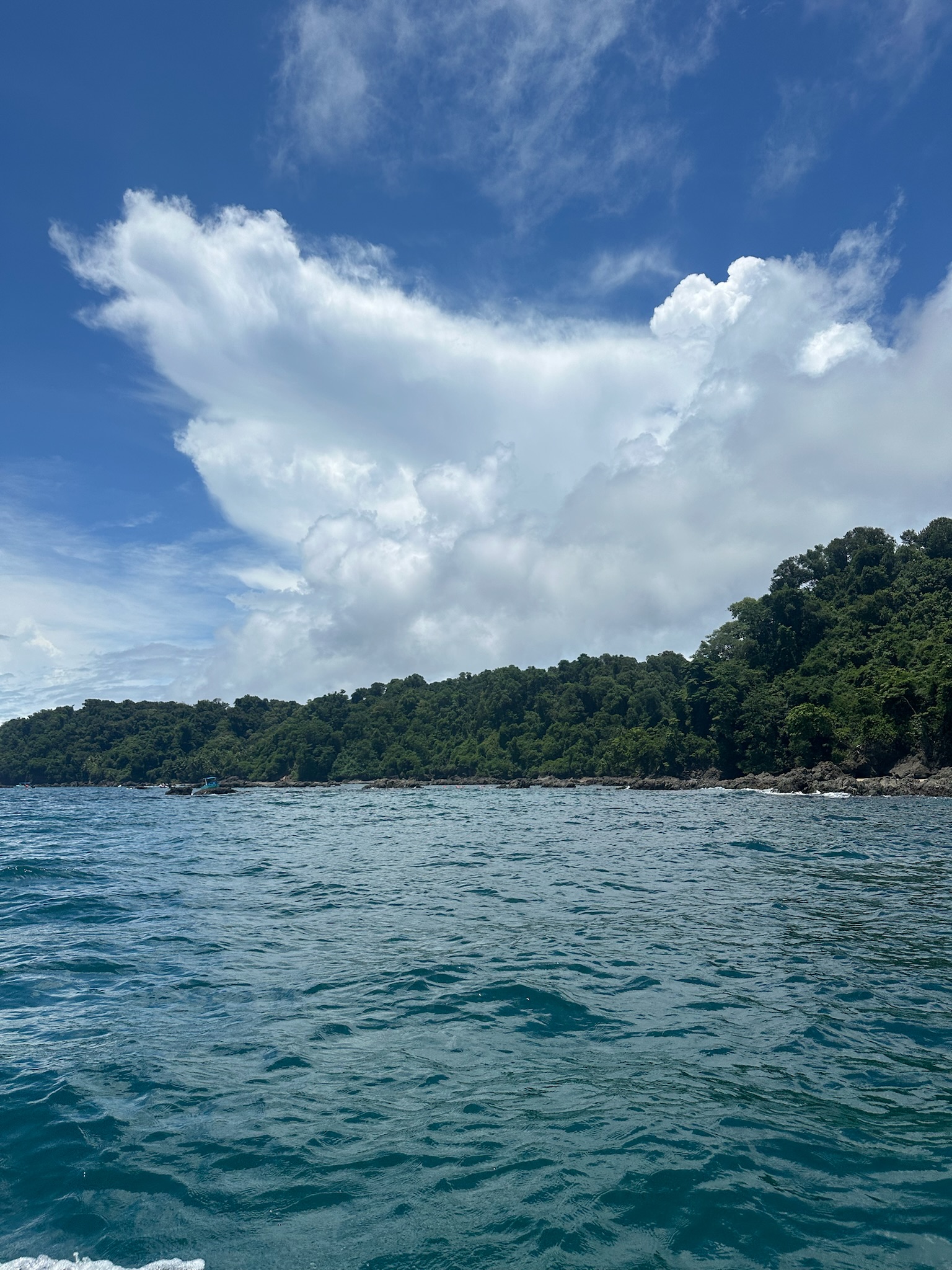 67a68e2d95dc26a33707fcc9_IMG_3811