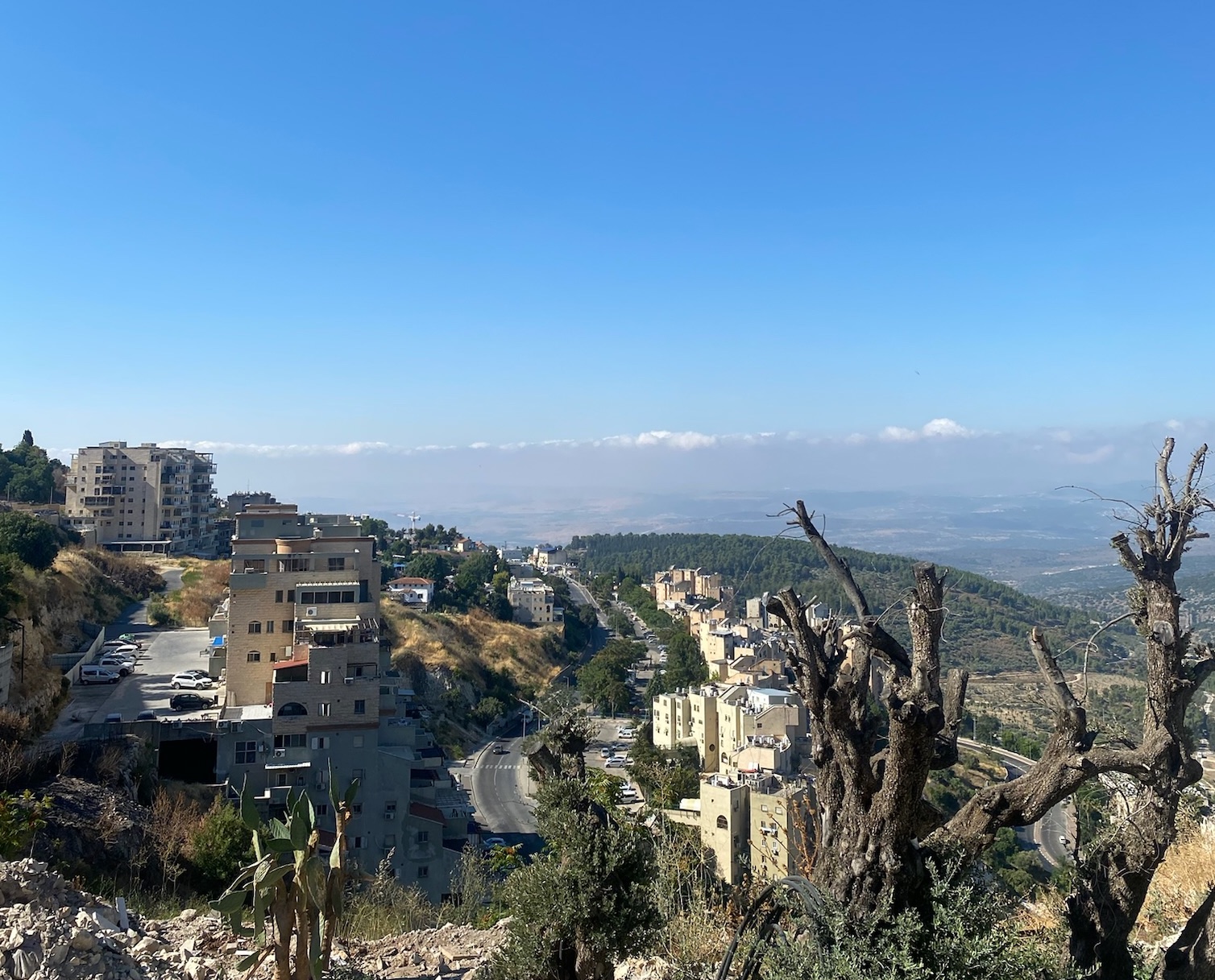 Group of people celebrating on stage