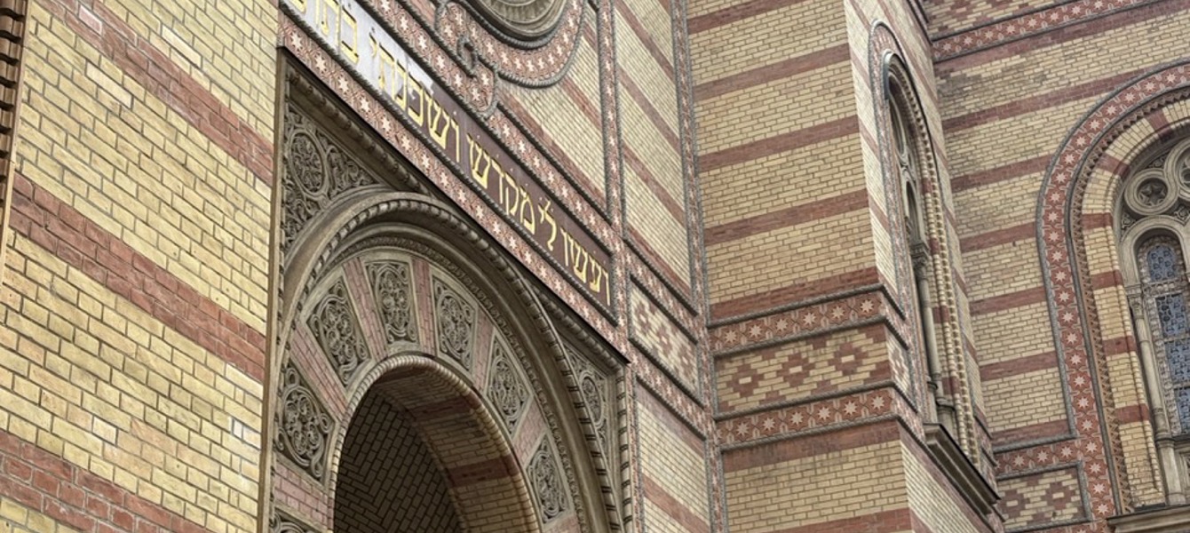 6876f853060034ddb061800f_IMG_6613 Large