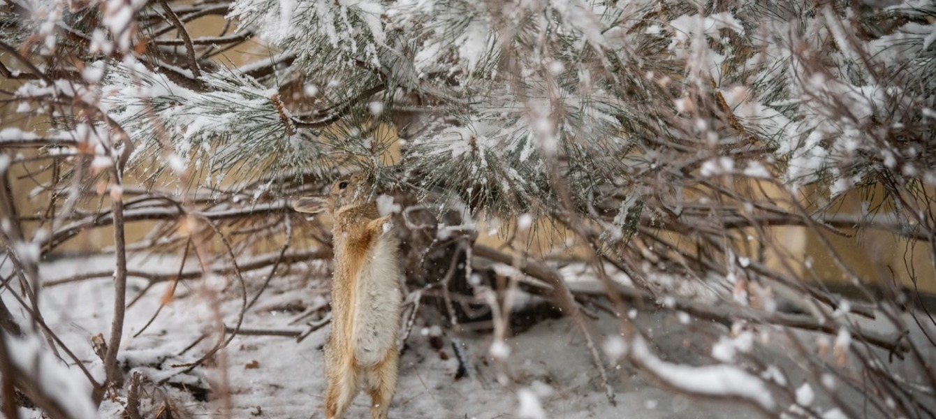 6862f72afbade8a724a17893_Kandel_Sábado_IC 2025-148 Grande