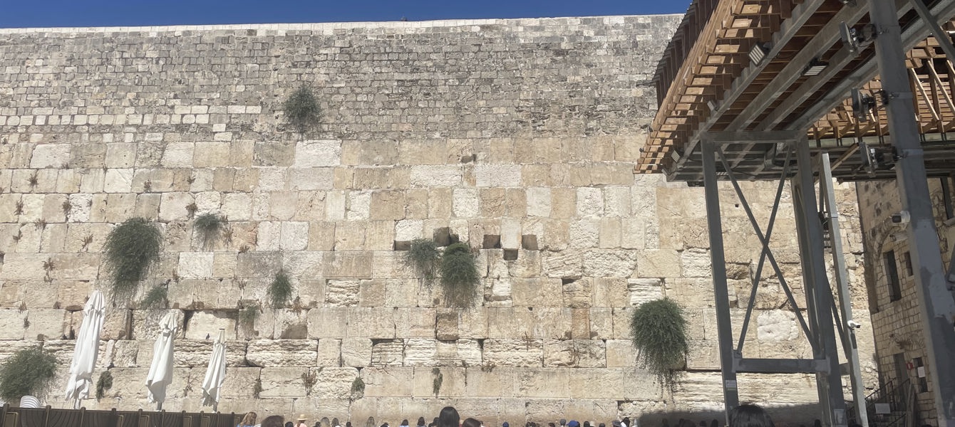 6877cd17f7a2e05cf6517ae9_IMG_8138