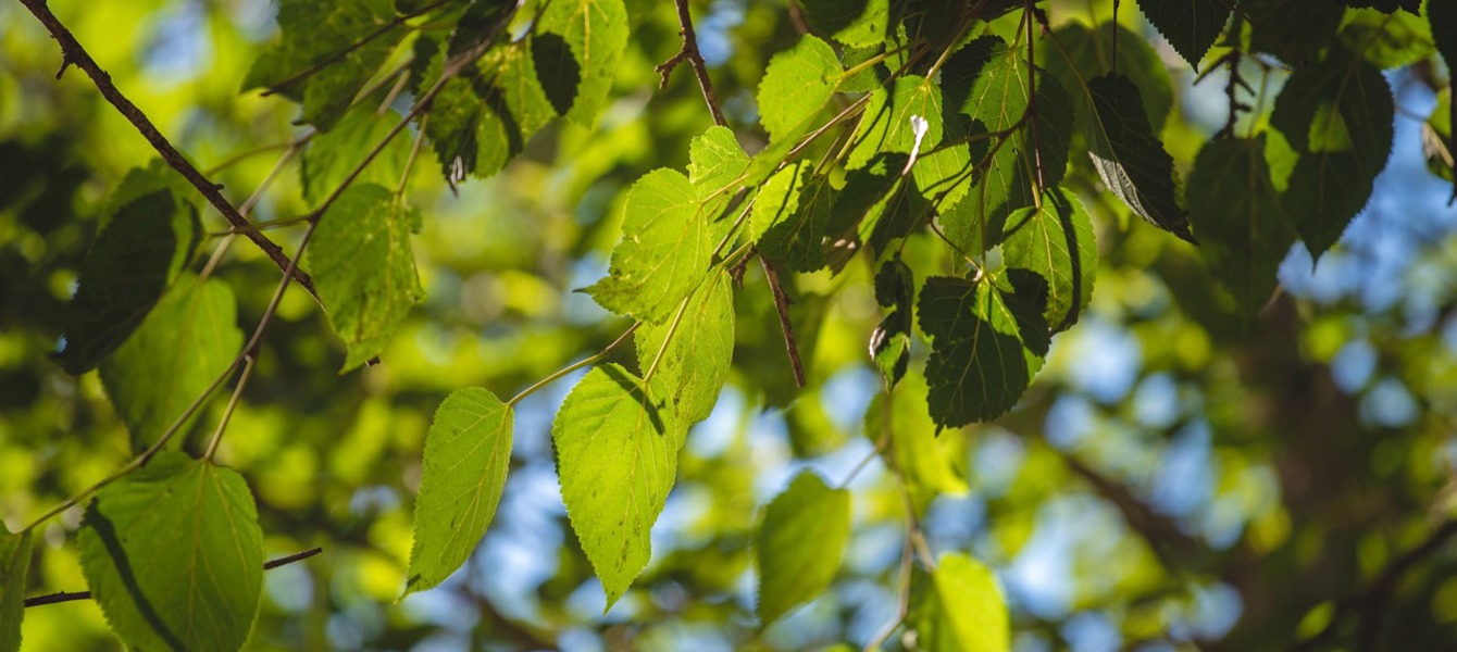 6876fa983054b832b916dab5_BBYO_2153 Grande