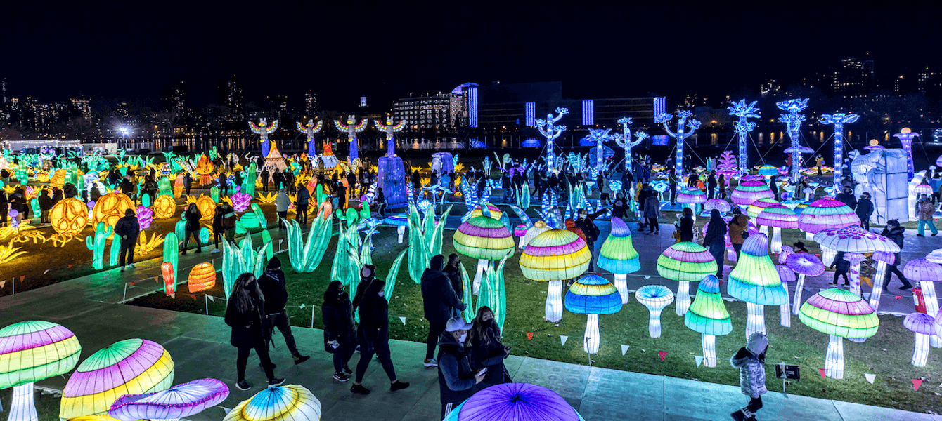 61c661acde8eeb5a88afc8c4_611cb3ca3a6b334d5855aa74_LUMINOCITY2_9a62573b