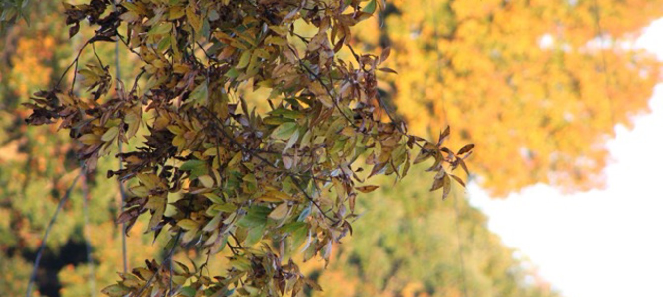 68700db5454a36d83d9a029a_Delta - IMG_2755 Mediano