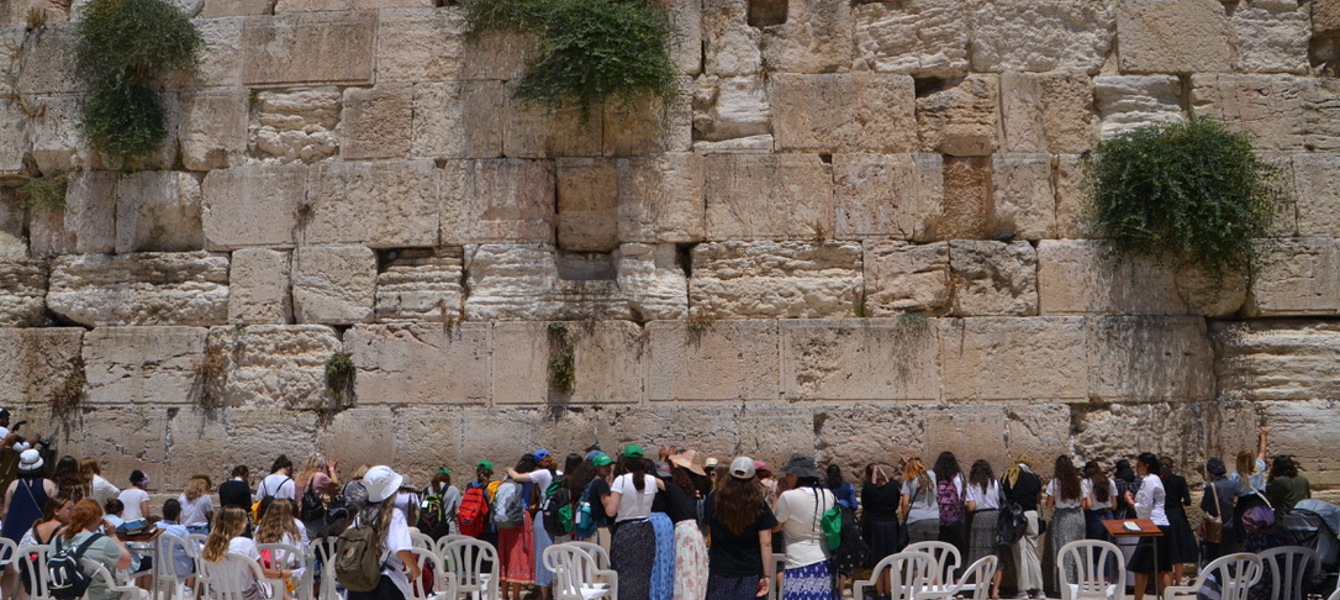 61c25fc897b12dc9ed86388c_foto de portada