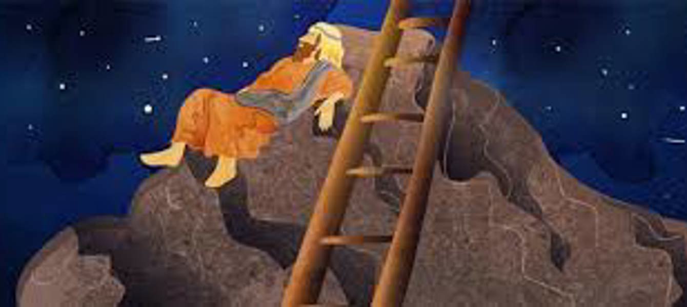 675349ac1a402234c534ca5d_descargar